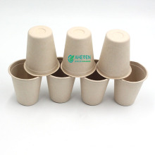 Different Size Disposable Sugarcane Bagasse Drinking Coffee Cup Eco-friendly Compostable Cup With Lid